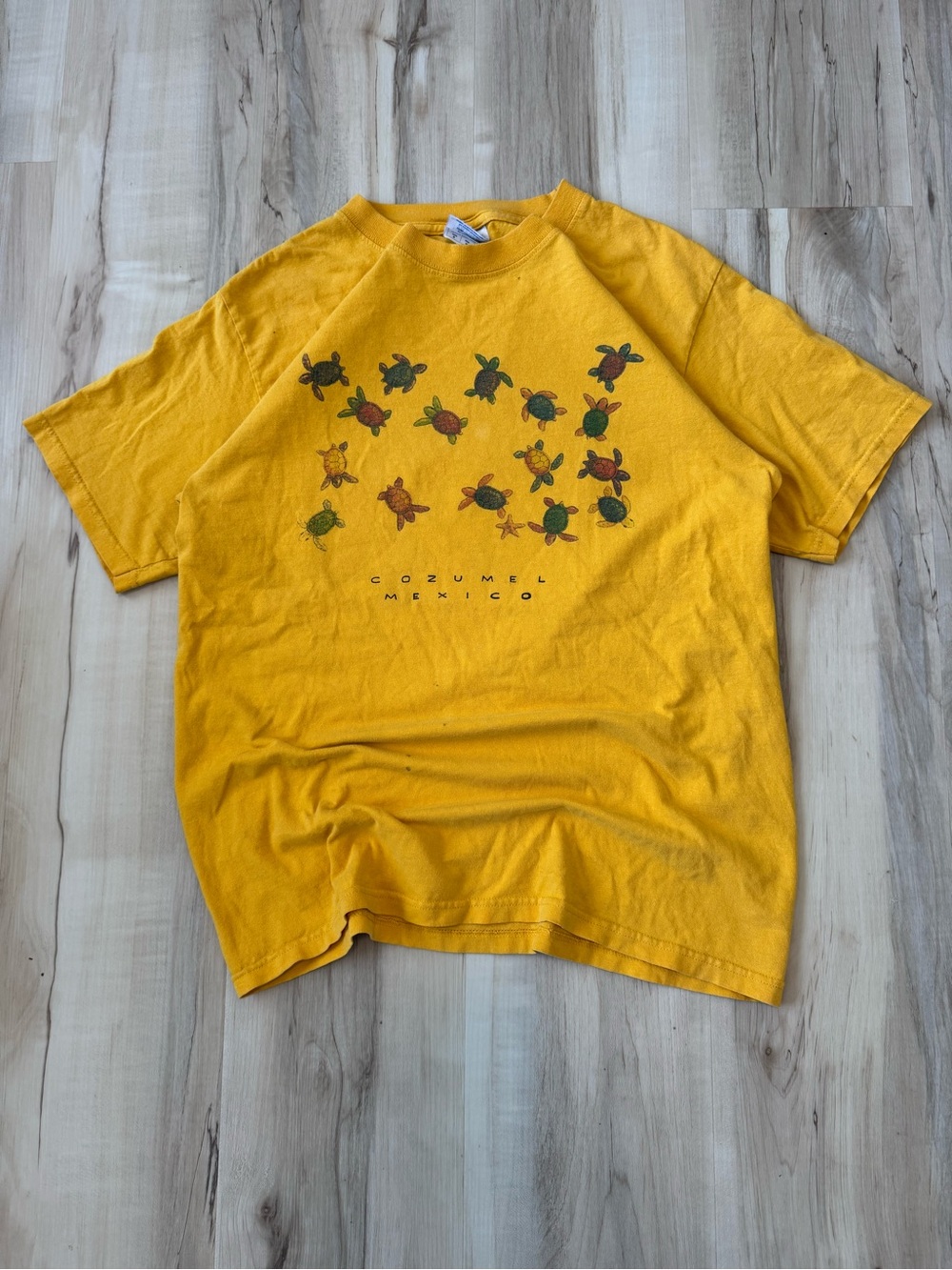 Vintage Cozumel Mexico Turtle Graphic Tee